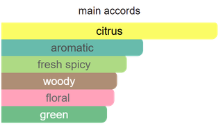 Main accords for L'Immensite Classique as shown in the Mini Scents catalogue