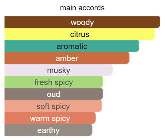 Main accords for Explorer as shown in the Mini Scents catalogue