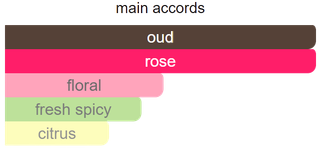 Main accords for Oud & Roses as shown in the Mini Scents catalogue