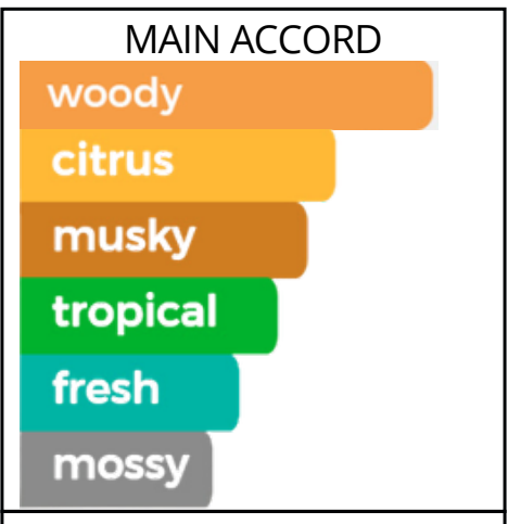 Main accords for Oud Fantasy as shown in the Mini Scents catalogue