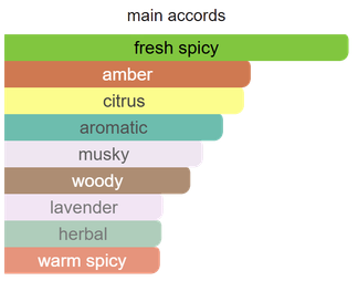 Main accords for Midnight Ember as shown in the Mini Scents catalogue