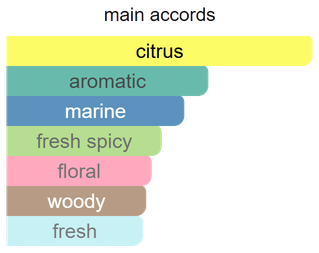 Main accords for Acqua Ocean as shown in the Mini Scents catalogue