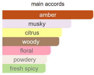 Main accords for Office Time as shown in the Mini Scents catalogue