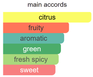 Main accords for Pacific Wave as shown in the Mini Scents catalogue