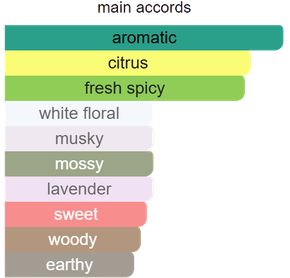 Main accords for Legend Divine as shown in the Mini Scents catalogue