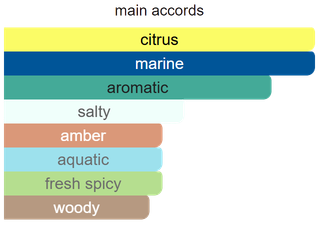 Main accords for Genius Vesper as shown in the Mini Scents catalogue